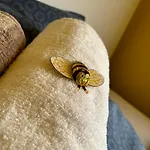 Hive - 3 Zw In Inkl Tv Und Grosse Balkon *