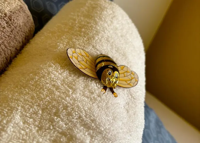 Hive - 3 Zw In Inkl Tv Und Grosse Balkon *